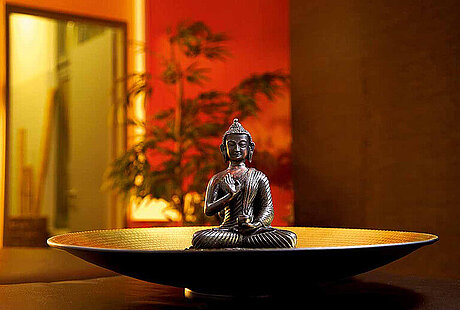 Spezielle Ayurveda Anwendungen im centrovital