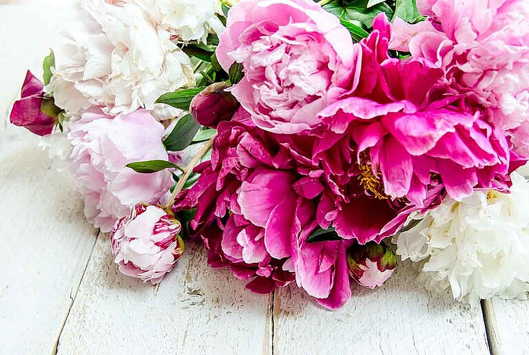 Pfingsten im centrovital Hotel ©doris oberfrank-list/Fotolia.com